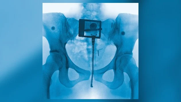 Lorde teases new Virgin track, Hammer: An ode to city life and horniness