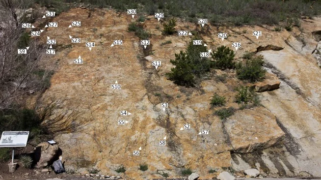 Large dinosaur mating ‘dance arena’ discovered in Colorado