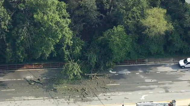 Woman killed when tree falls on car in Delaware as East Coast storms intensify