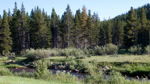 20-day search effort called off for man who went missing while hiking in Wyoming