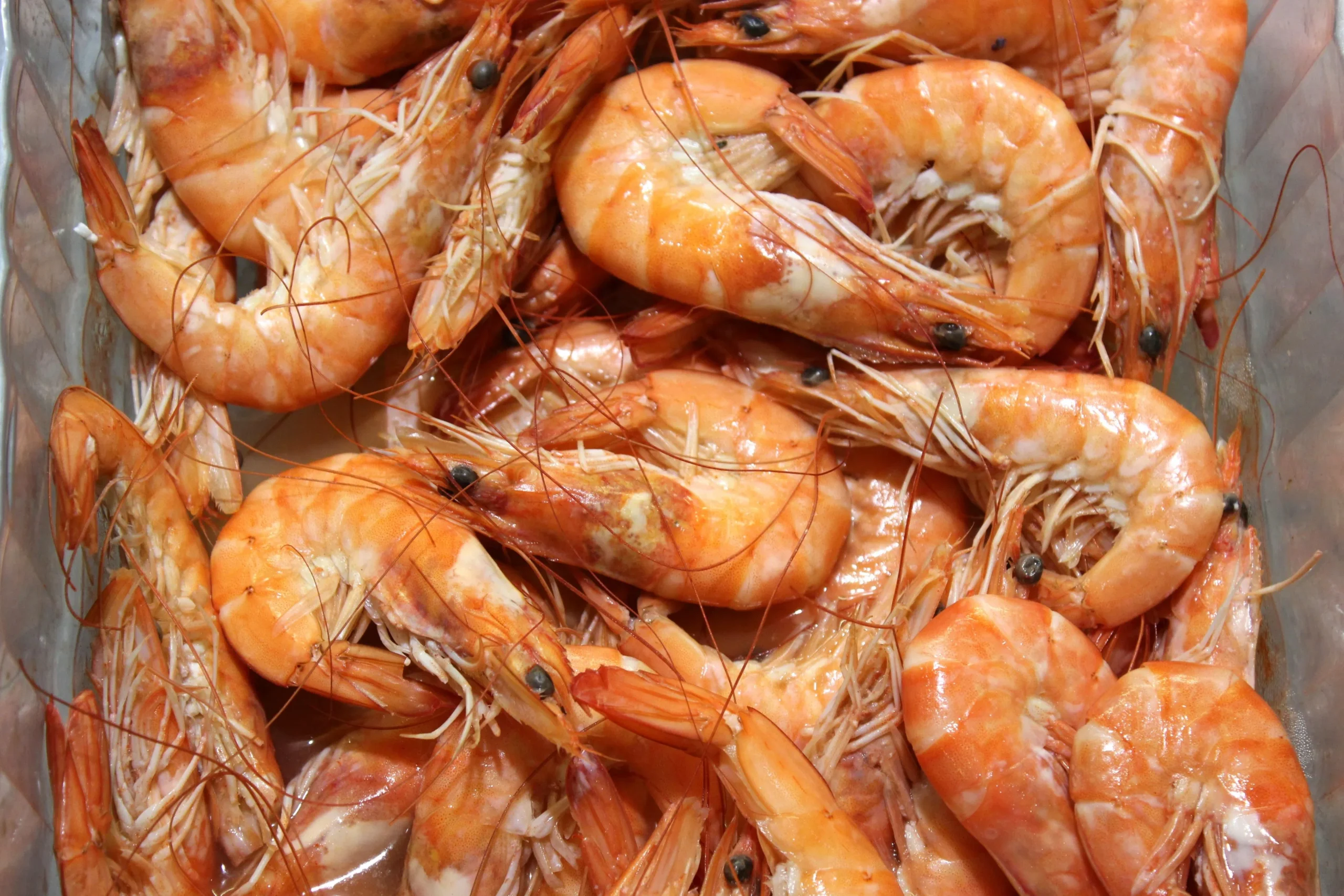 Louisiana Shrimp Association demands action as Walmart recalls radioactive frozen shrimp imported from Indonesia