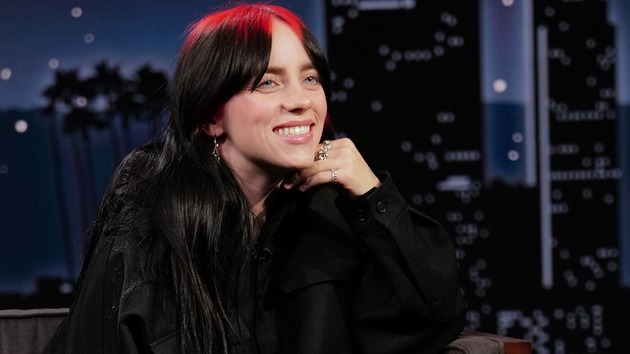 Billie Eilish concertgoer ejected after grabbing singer at Miami show, police say