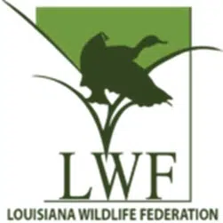 Louisiana Wildlife Federation promotes “Lights Out Louisiana” initiative to protect migrating birds