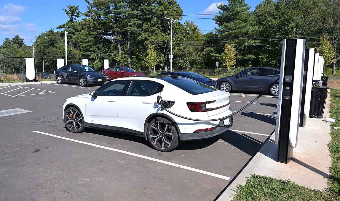 Louisiana sees rise in popularity and ownership of electric vehicles