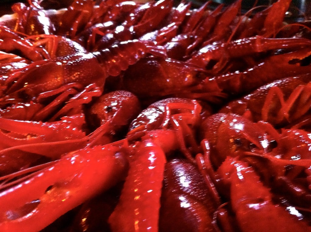 Louisiana crawfish processors suffering as U.S. Department of Homeland Security halts H-2B applications for skilled guest workers