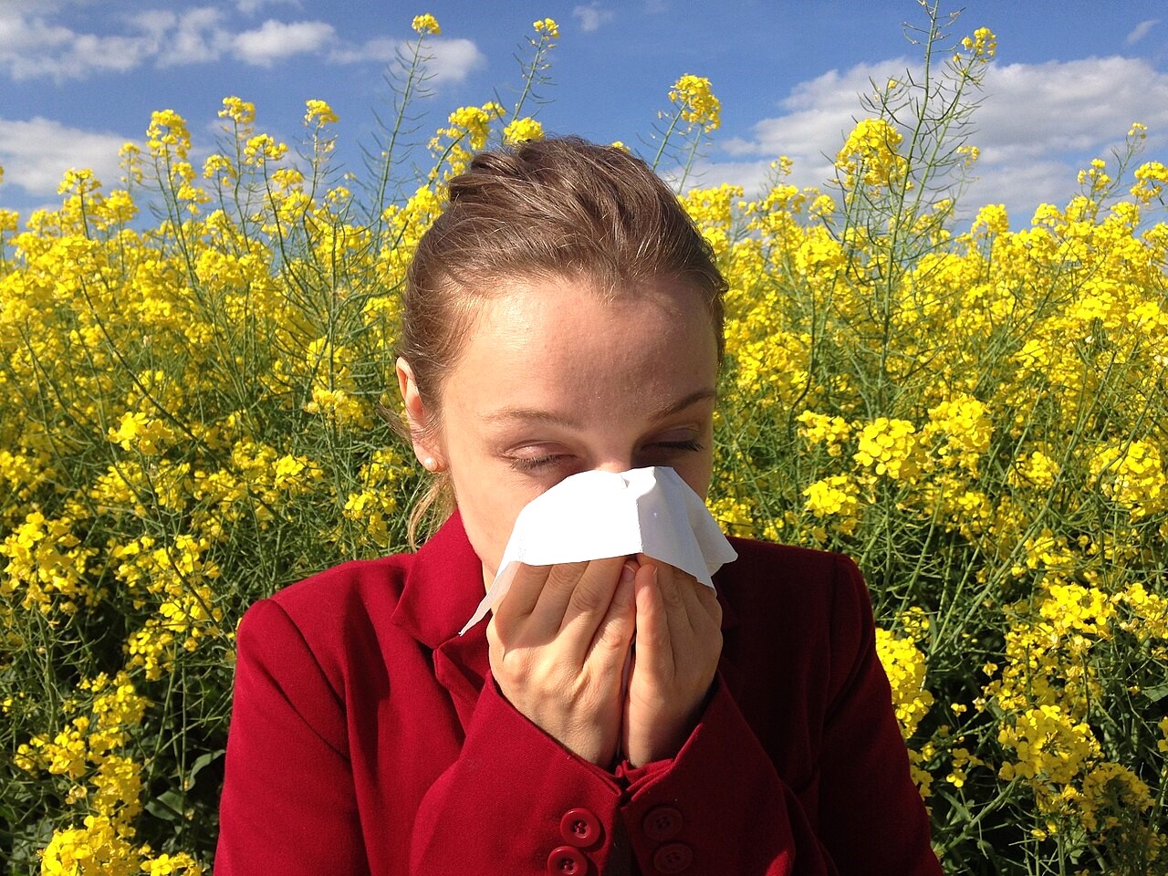 As Louisiana reaches peak allergy season, treatment options are readily available
