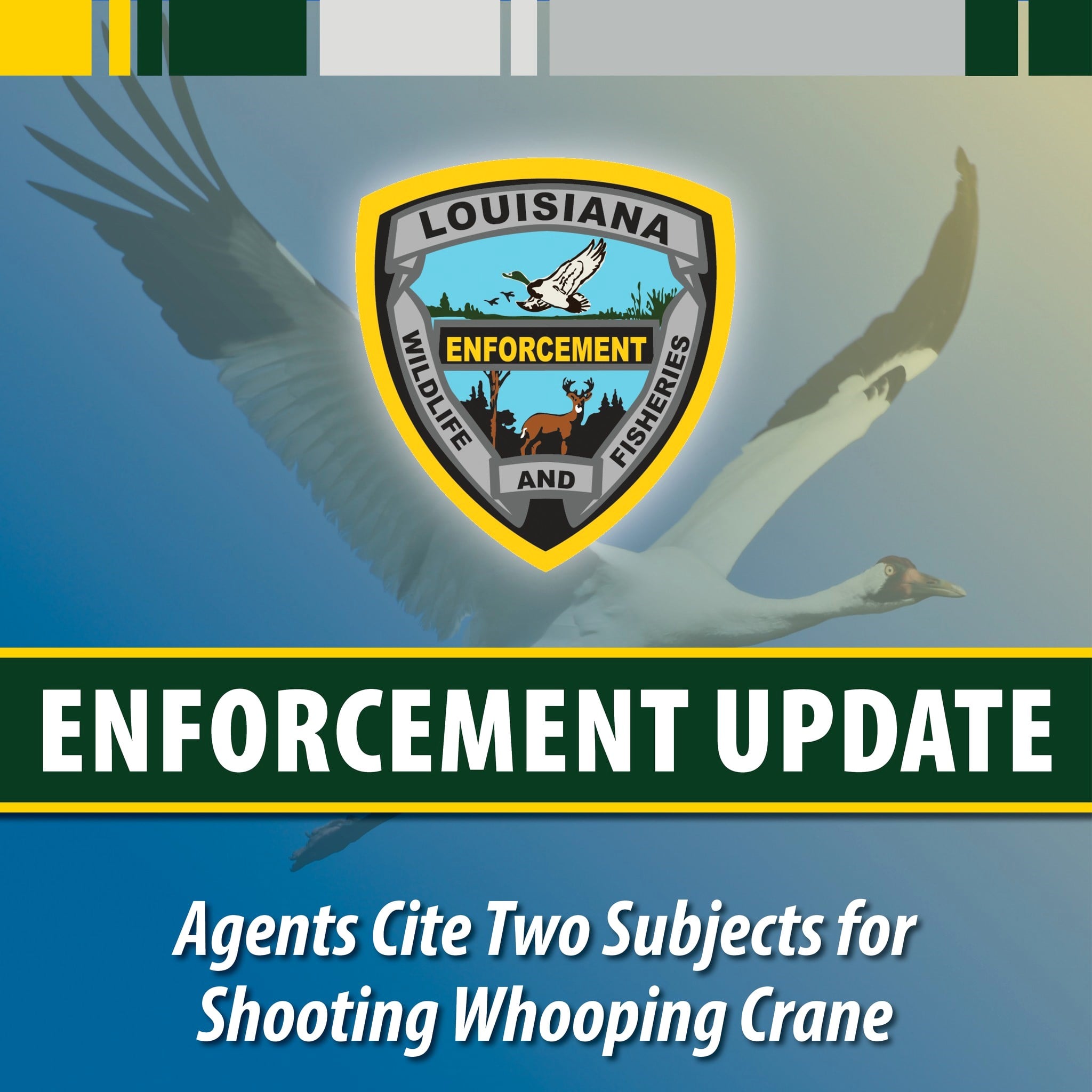 LDWF agents cite two men in connection with killing of a whooping crane in Evangeline Parish