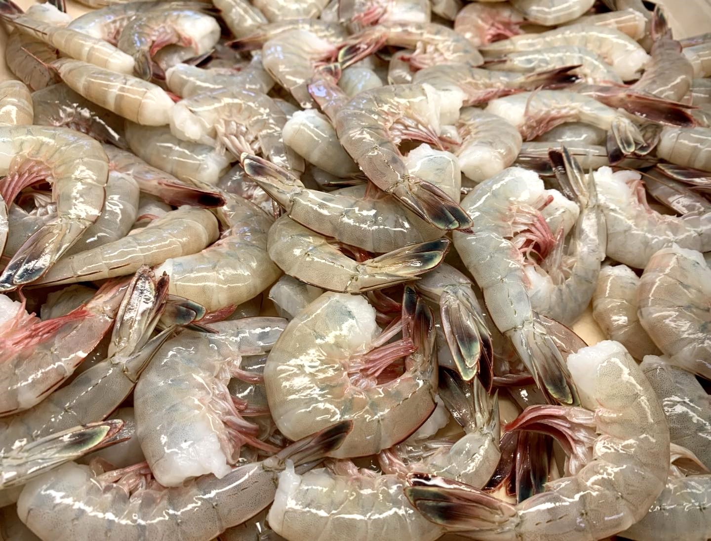 Louisiana legislature unanimously passes Bill 857, which prohibits co-mingling of imported and domestic shrimp