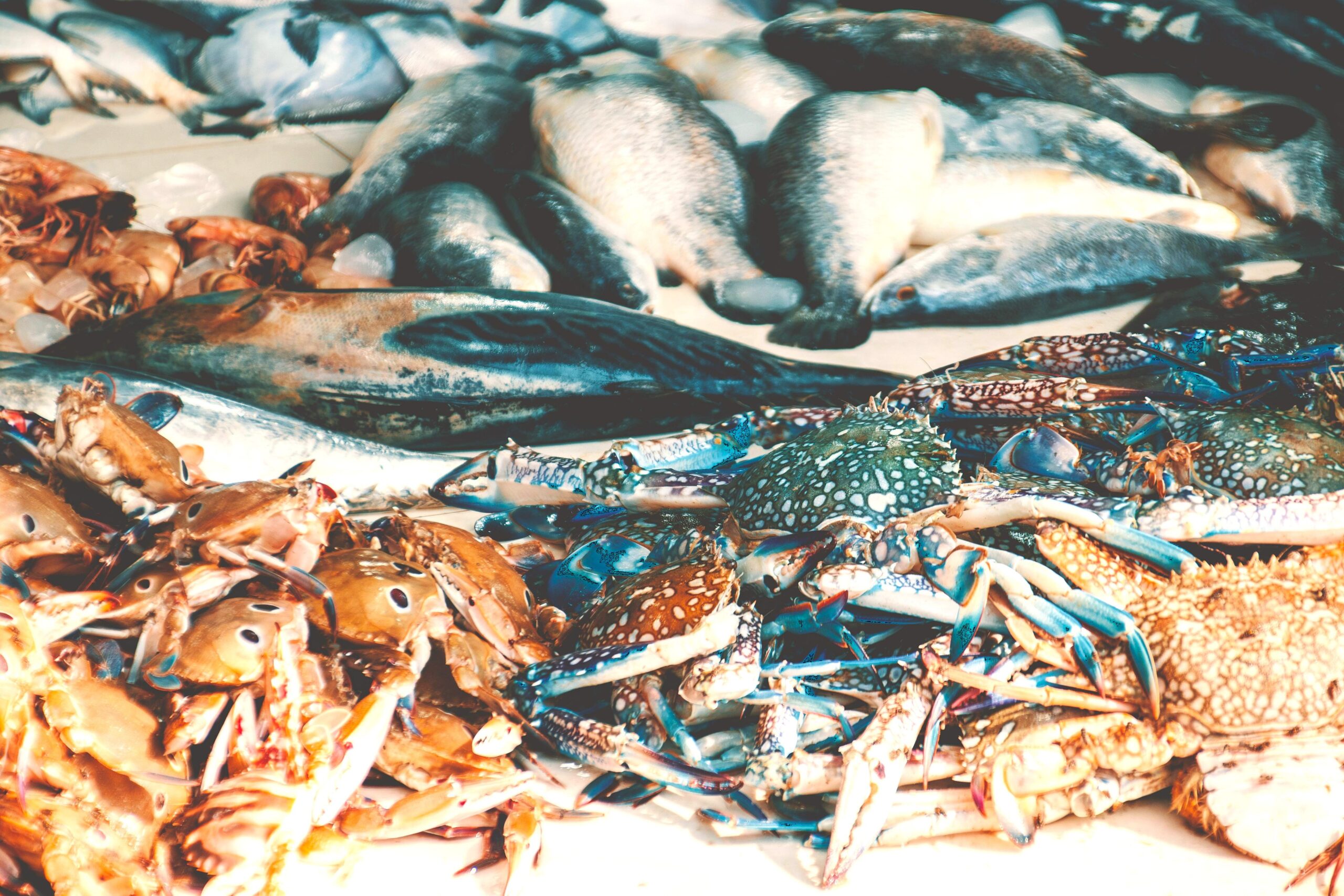 Louisiana lawmakers pass additional bills to combat imported seafood