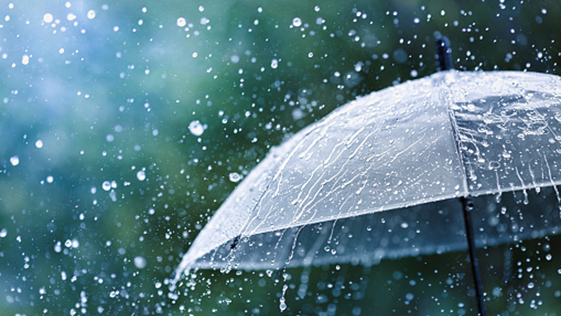 Recent rainfall totals in Avoyelles Parish could shatter previous state record