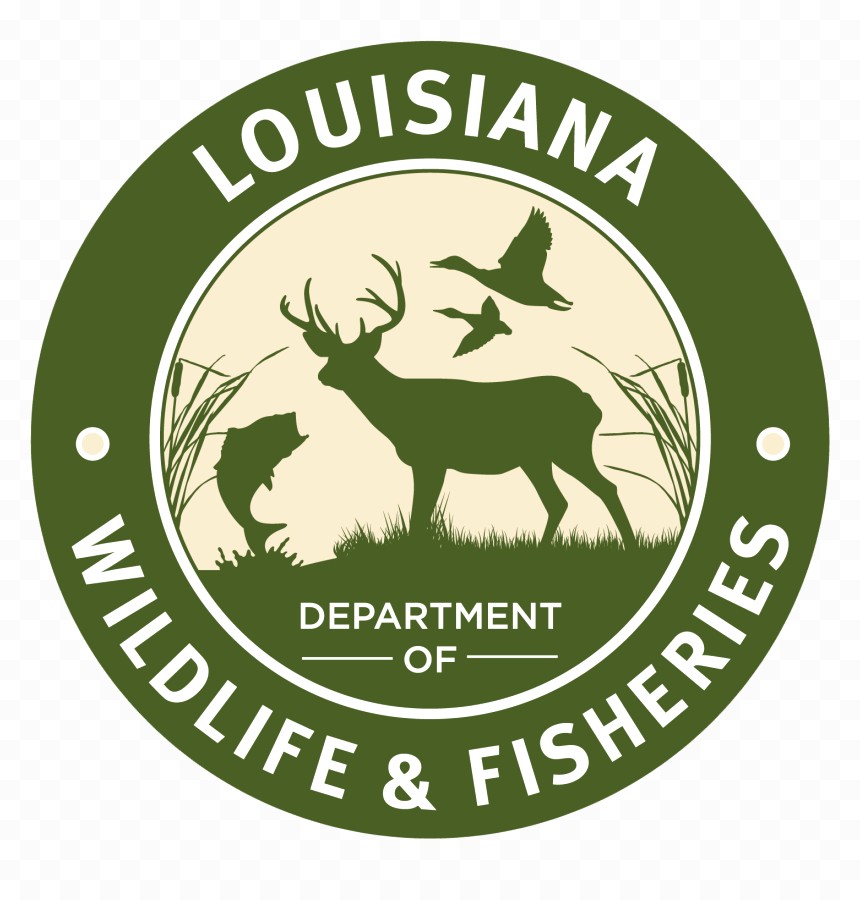 Applications for 2026 LDWF black bear hunting lottery now open