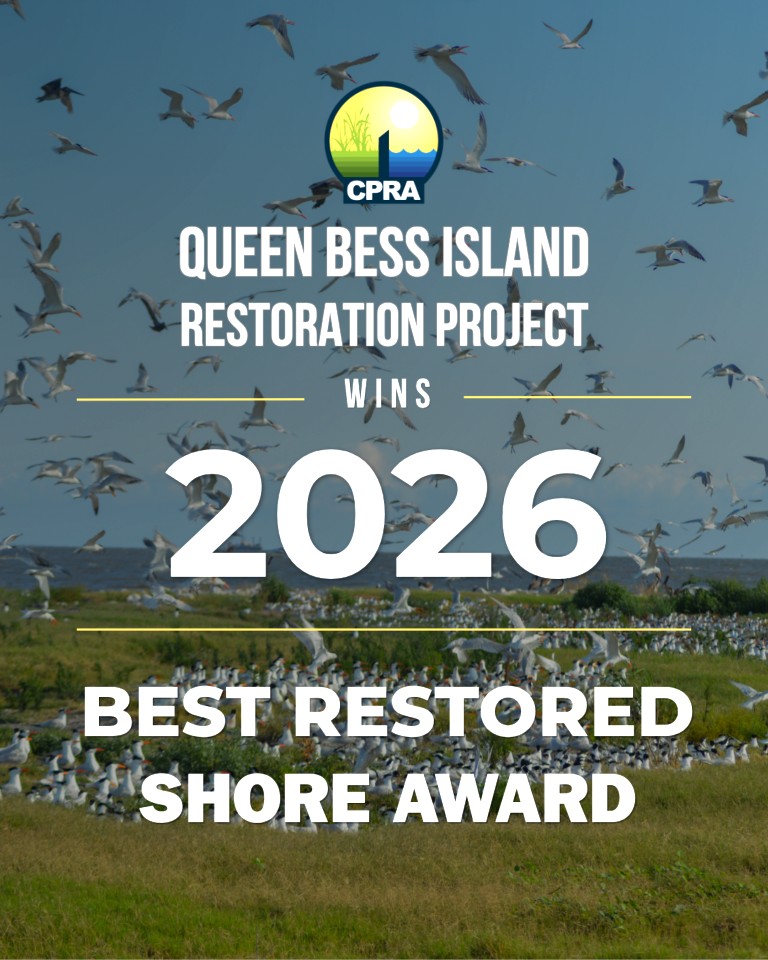 Queen Bess Island Restoration Project receives ASBPA National Best Restored Shore Award